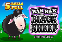 Bar Bar Black Sheep 5 Reel